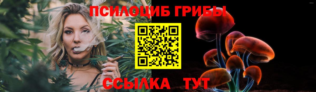 Псилоцибиновые грибы ЛСД Волоколамск